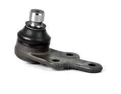 ������� ����� FORD Mondeo 01- BM BSG AUTO Parts ���. BSG30310042 BSG30310042 ����