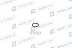 ������ ������� ����� Motorherz ���. HR0317 HR0317 ����
