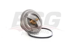 ��������� BSG AUTO Parts ���. BSG 15-125-001 BSG15125001 ����