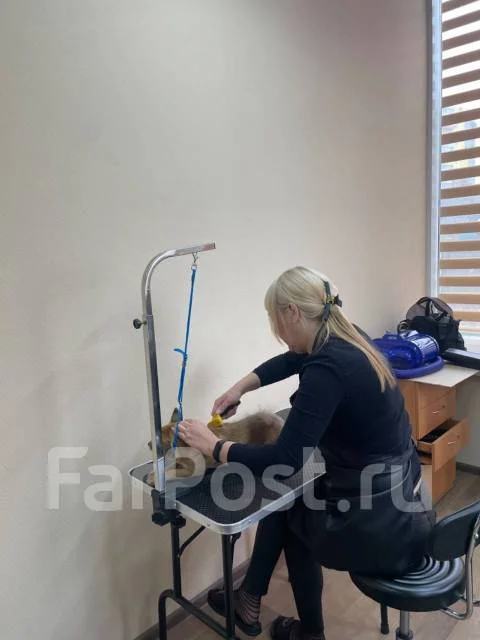 �������. ����