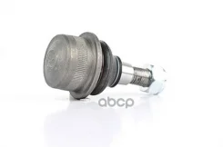 ������� ����� Mercedes W211-215-220-219 98-11 BSG AUTO Parts ���. BSG60310123 BSG60310123 ����