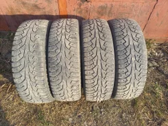 Nordman C. ������, ����������, 2019 ���, �/�, ����� 50 %. ��� ���� ����
