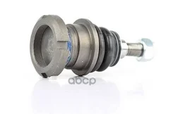 ������� ����� Mercedes W163 98-05 BSG AUTO Parts ���. BSG60310116 BSG60310116 ����