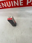 ����� ���������. ����