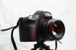 Canon EOS 6D. 20 � ����� ��, ���: ��� ���� ����