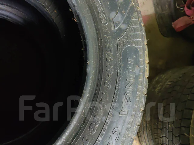 Tunga Camina. ������, 2014 ���, �/�, ����� 80 % ����