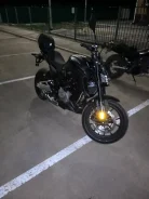 Regulmoto Alien Monster 300. 300����. ��., ��������, ���������, ������ �� �� ����