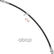 ����� ��������� Zikmar ���. Z75579R Z75579R ����