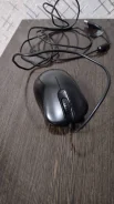 ���� ������������. ����