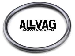 ������ �������������� AUTO-GUR RR236 (97011080100/078133148A/N90090�501) RR236 ����