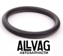 ������ �������������� AUTO-GUR RR237 (N91065802) RR237 ����