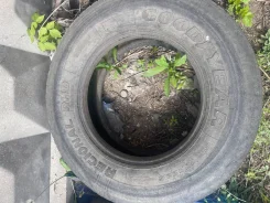 Goodyear Regional RHD II. �����������, �/�, ����� 90 % ����
