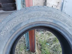 Bridgestone Winter Dueler DM-Z2. ������, ��� �����, �/�, ����� 5 % ����