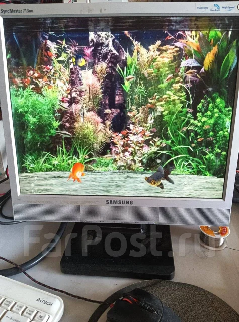 Samsung. 17", ���������� �� (LCD, LED, QLED) ����