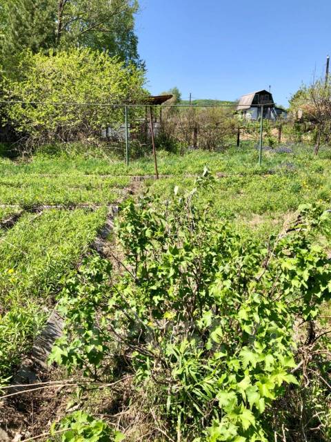 Хорошая дача, межевание, свет, стелла хабаровск, мукомол, 700 кв. м. 45 ...