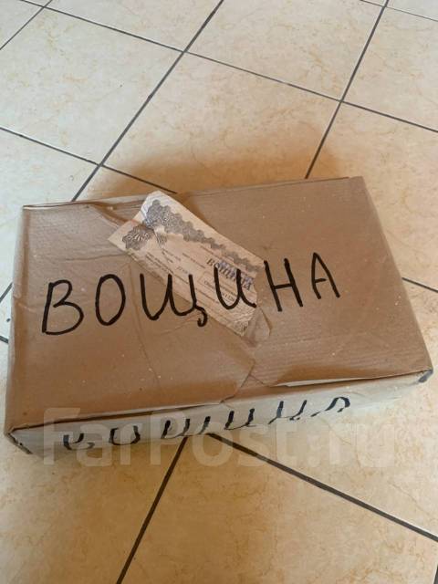 ����. ����