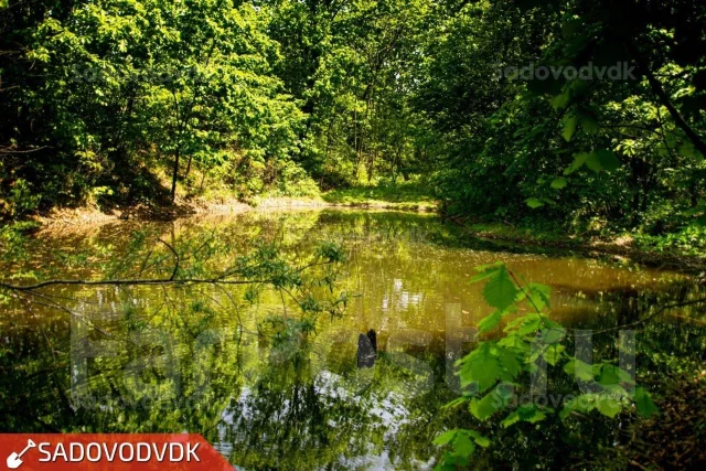 Снт мотор мурманское шоссе