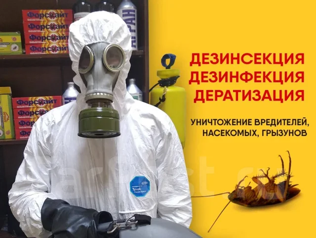 Обработка от тараканов. Уничтожить травить насекомых: клопов, блох во ...