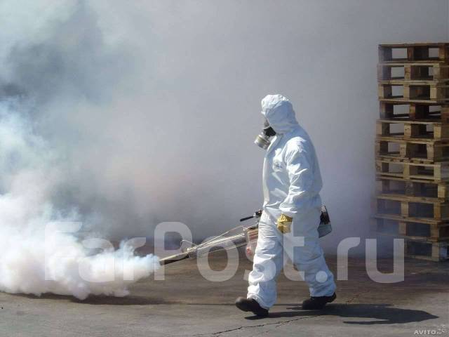 Потравить тараканов. Травка клопов. Потравка блох и других насекомых во ...