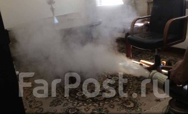 Потравить тараканов. Травка клопов. Потравка блох и других насекомых во ...