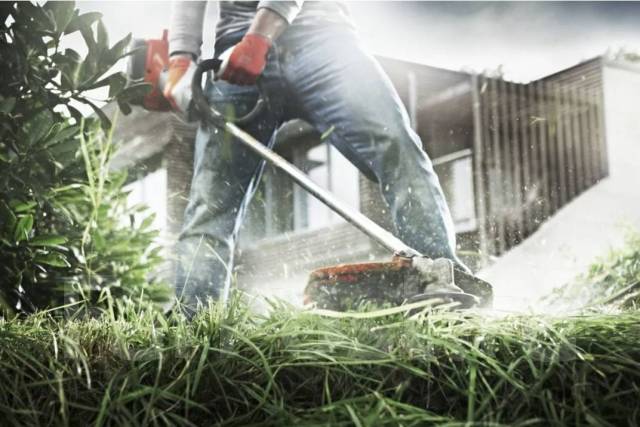 Покос травы на участке во Владивостоке