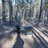 Regulmoto Alpha RM-2. 50����. ��., ��������, ��� ���, � �������� ����