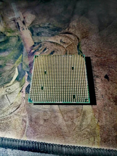 AMD FX-4350 ����