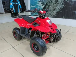 Avantis ATV Classic 6. ��������, ��� ������� ����