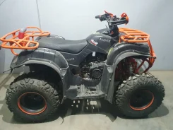 Avantis Hunter 200. ��������, ��� ���\���, ��� ������� ����