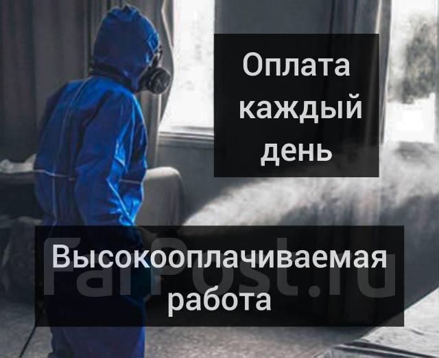 Дезинфектор, работа в ООО Дез Патруль во Владивостоке — вакансии на