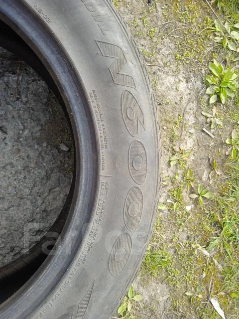 Nexen N6000. ������, �/�, ����� 50 %. �������� ������ ����