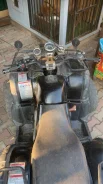 Tiger Sport. ��������, ��� ���\���, � �������� ����