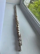 ������. ����