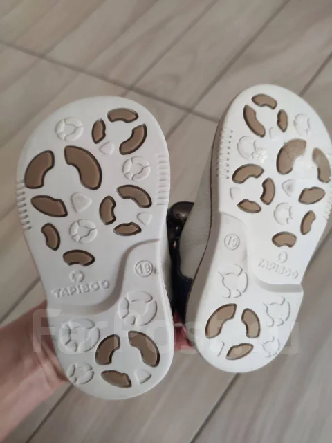 ��������. 19, 19.5 ����