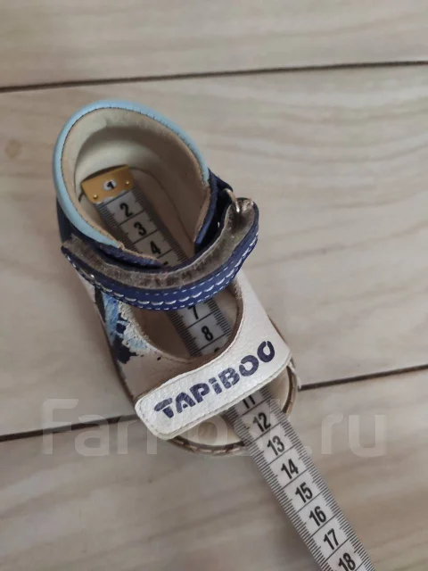 ��������. 19, 19.5 ����