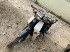 Suzuki Birdie. 49����. ��., ����������, ���������, ������ �� �� ����