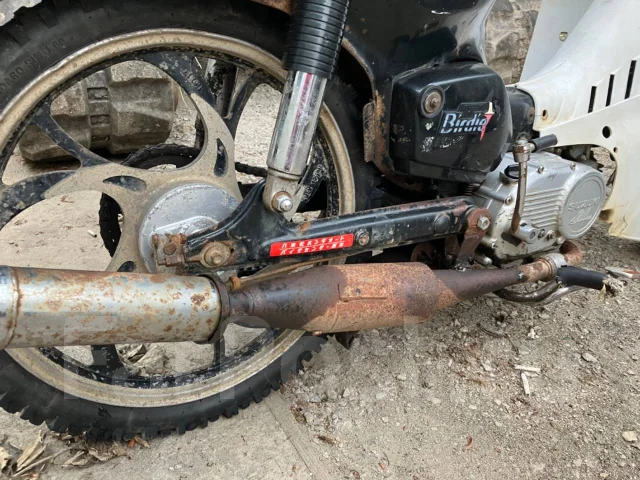Suzuki Birdie. 49����. ��., ����������, ���������, ������ �� �� ����