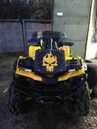 Stels ATV 850G Guepard Trophy. ��������, ���� ���\���, � �������� ����