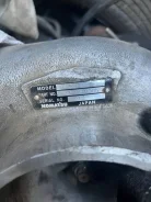 ������ ������� ����