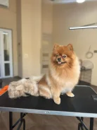 �������. ����