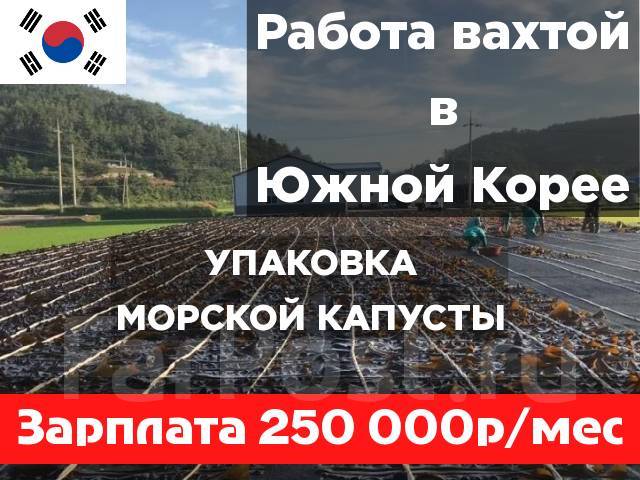 Разнорабочий вахта в Южной Корее Морская капуста от 250 000руб/мес во