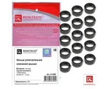 ������ �������������� ����� ��������� ������ ������� (�������� 15 ����) Rosteco 21096 21096 ����