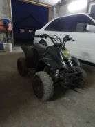 ABM Ninja 110. ��������, ��� ���\���, � �������� ����