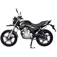 Regulmoto SK 200-9. 200����. ��., ��������, ���������, ��� ������� ����