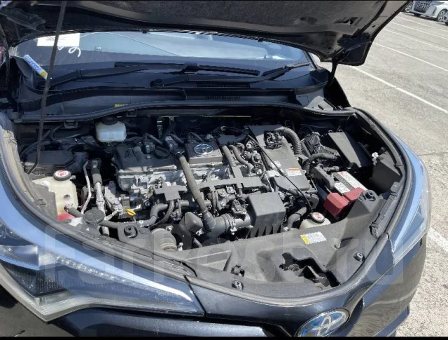 Toyota C-HR. ZYX10, 2ZRFXE ����