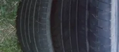 Maxgrade. ������, �/�, ����� 40 % ����