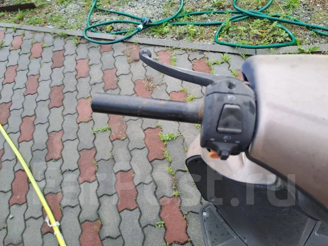 Irbis. ����������, ��� ���, ������ �� �� ����