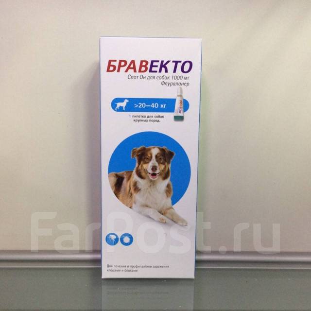 Бравекто, для собак крупных пород, 20 - 40 кг, 1000 мг, 1 п, в наличии ...