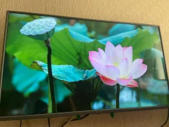 Prestigio. LED ����