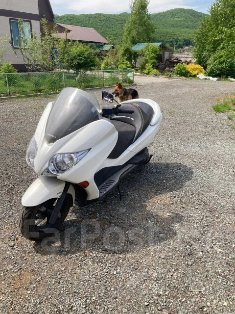 Honda Forza. 250����. ��., ��������, ���������, ������ �� �� ����